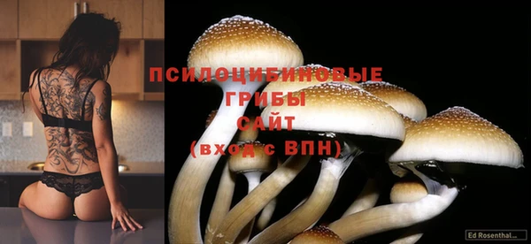 a pvp Абдулино