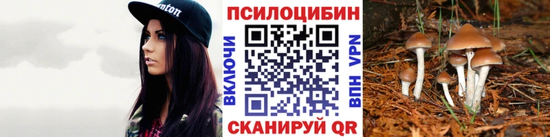Галлюциногенные грибы мухоморы  купить наркотики сайты  Богучар 